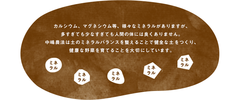 カルシウム、マグネシウム等、様々なミネラルがありますが、多すぎても少なすぎても人間の体には良くありません。中嶋農法は土のミネラルバランスを整えることで健全な土をつくり、健康な野菜を育てることを大切にしています。