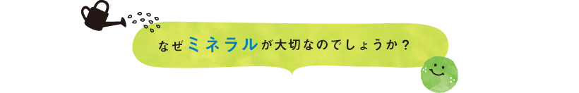 なぜミネラルが大切なのでしょうか？