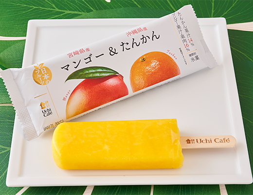 ウチカフェ 日本のフルーツ 宮崎県産マンゴー 沖縄県産たんかん 80ml ローソン公式サイト