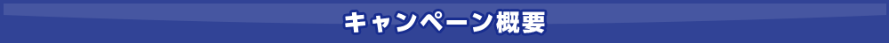 キャンペーン概要