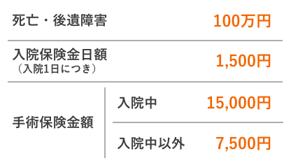 死亡・後遺障害:100万円 入院保険金日額（入院1日につき）:1,500円 手術保険金額（入院中）:15,000円 手術保険金額（入院中以外）:7,500円