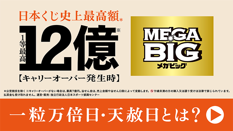 スポーツくじ Toto Big Winner ローソン