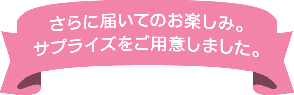 さらに届いてのお楽しみ。サプライズをご用意しました。