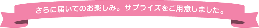 さらに届いてのお楽しみ。サプライズをご用意しました。