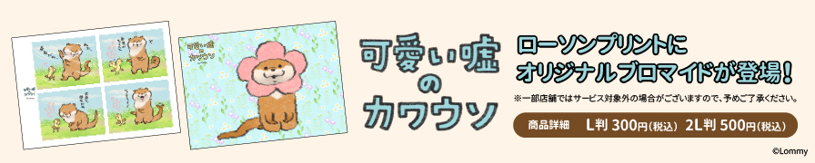 「可愛い嘘のカワウソ」のブロマイドが「ローソンプリント」に登場!