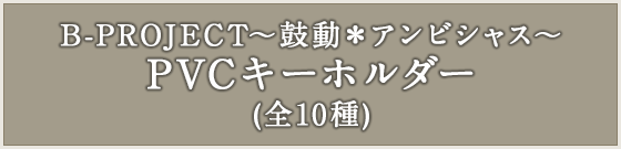 B-PROJECT～鼓動＊アンビシャス～ PVCキーホルダー(全10種)