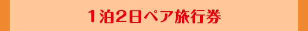 1泊2日ペア旅行券