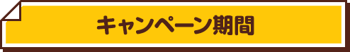 キャンペーン期間