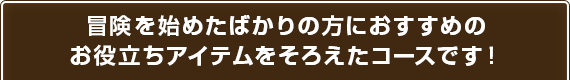 冒険を始めたばかりの方におすすめのお役立ちアイテムをそろえたコースです！