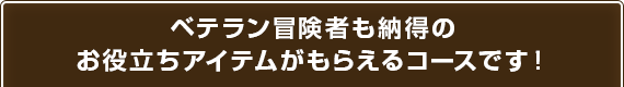 ベテラン冒険者も納得のお役立ちアイテムがもらえるコースです！