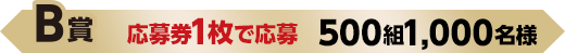 B賞 応募券1枚で応募 500組1,000名様