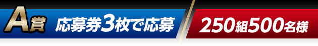 A賞 応募券3枚で応募（250組500名様）