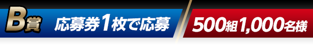 B賞 応募券1枚で応募（500組1,000名様）