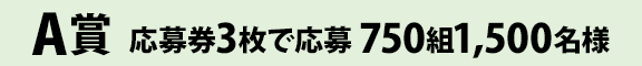 A賞 応募券3枚で応募 750組1,500名様