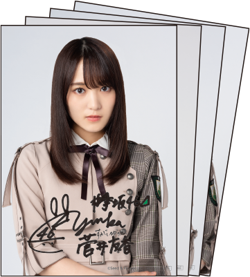 櫻坂46 on X: 