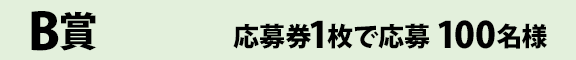 B賞 応募券1枚で応募 100名様