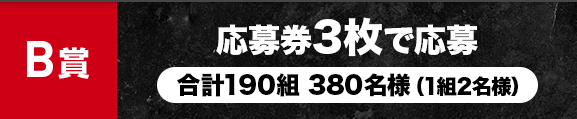 B賞 応募券3枚で応募 合計190組 380名様(1組2名様)
