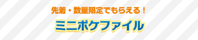 先着・数量限定でもらえる!ミニポケファイル