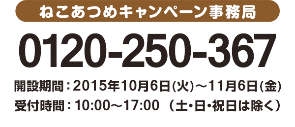 ねこあつめキャンペーン事務局 0120-250-367 開設期間 ： 2015年10月6日(火)〜11月6日(金)受付時間 ： 10:00〜17:00 （土・日・祝日は除く）