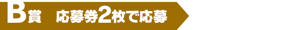 B賞（応募券1枚で応募）100名様