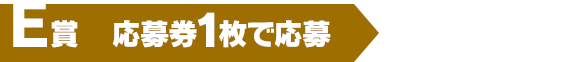 E賞（応募券1枚で応募）100名様