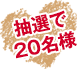 抽選で20名様