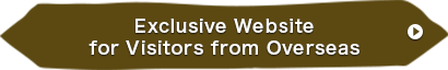 Exclusive Website for Visitors from Overseas
