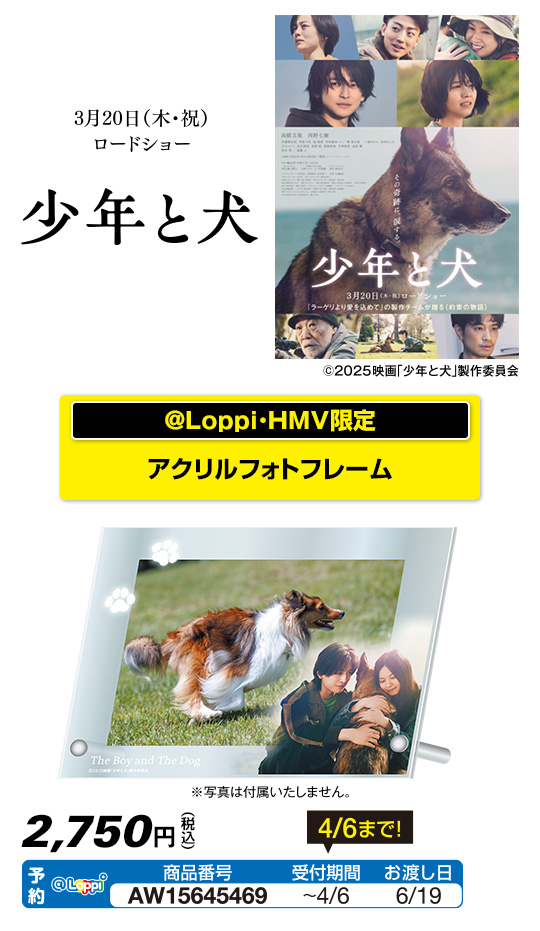 映画『少年と犬』