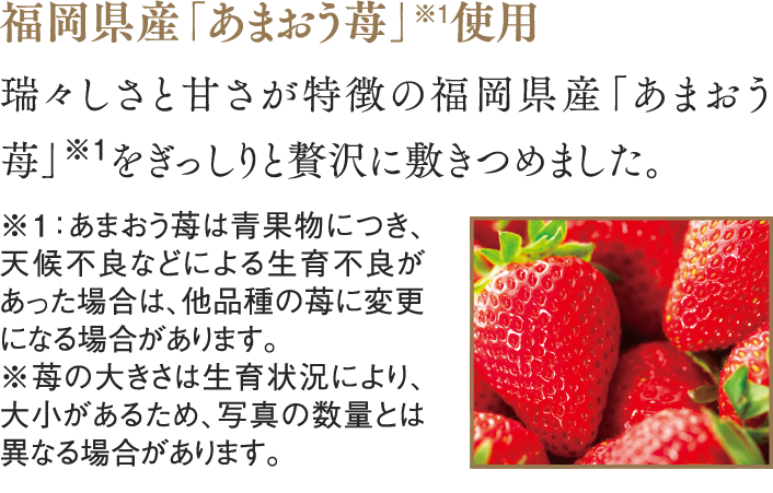 ポイントカード会員限定 代金お支払い時にポイントカードをご提示ください。 スペシャル ストロベリークリスマス 6号 とクリスマスカタログに掲載の対象のパーティーフーズを一緒にご購入で100ポイントプレゼント！