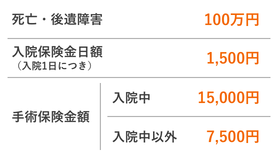 死亡・後遺障害:100万円 入院保険金日額（入院1日につき）:1,500円 手術保険金額（入院中）:15,000円 手術保険金額（入院中以外）:7,500円