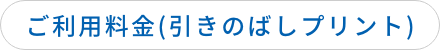 ご利用料金(引きのばしプリント)