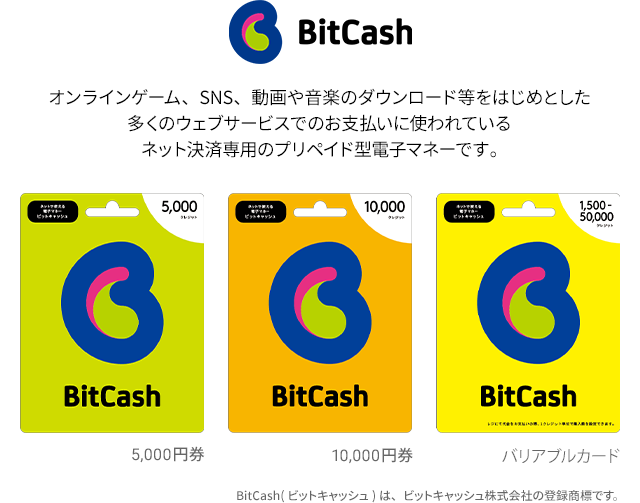 オンラインゲーム、SNS、動画や音楽のダウンロード等をはじめとした多くのウェブサービスでのお支払いに使われているネット決済専用のプリペイド型電子マネーです。