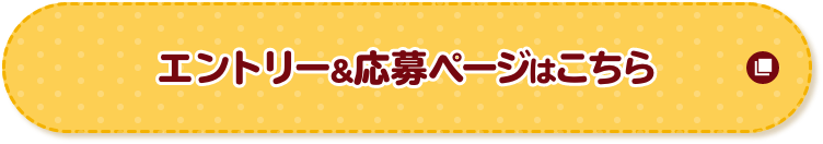エントリー&応募ページはこちら